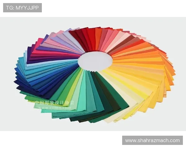 色碟的多样选择与购买指南,打造完美色彩搭配的必备利器