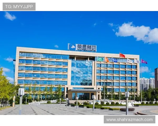 K8凯发滚球盘安全性分析及选择优质平台保障您的资金安全