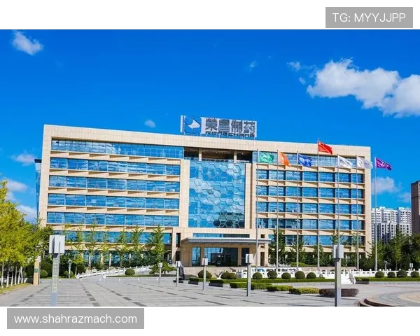 凯发k8官方网如何快速注册账号并享受优质的客户服务与专业技术支持