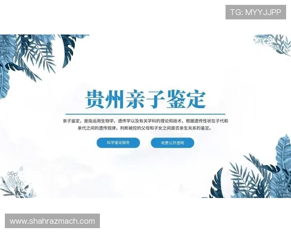 凯发网投会员登录常见问题解答，解决登录过程中遇到的各种技术难题与安全疑虑